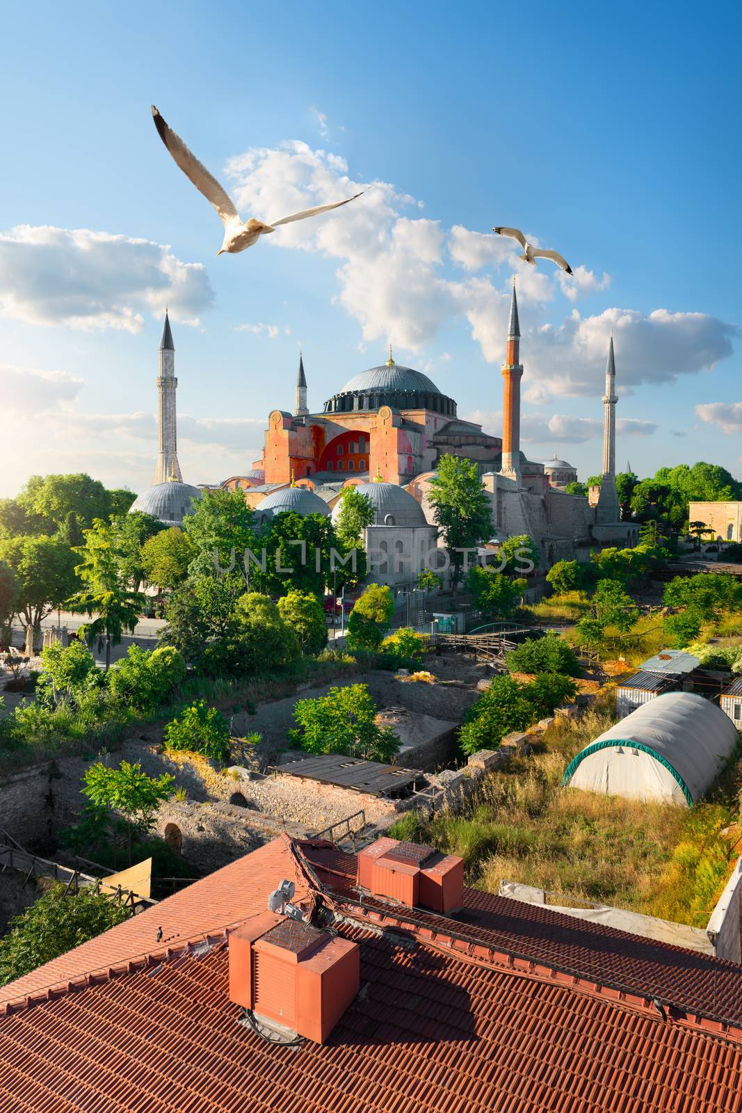 Hagia Sophia in summer Istanbul at sunny day, Turkey