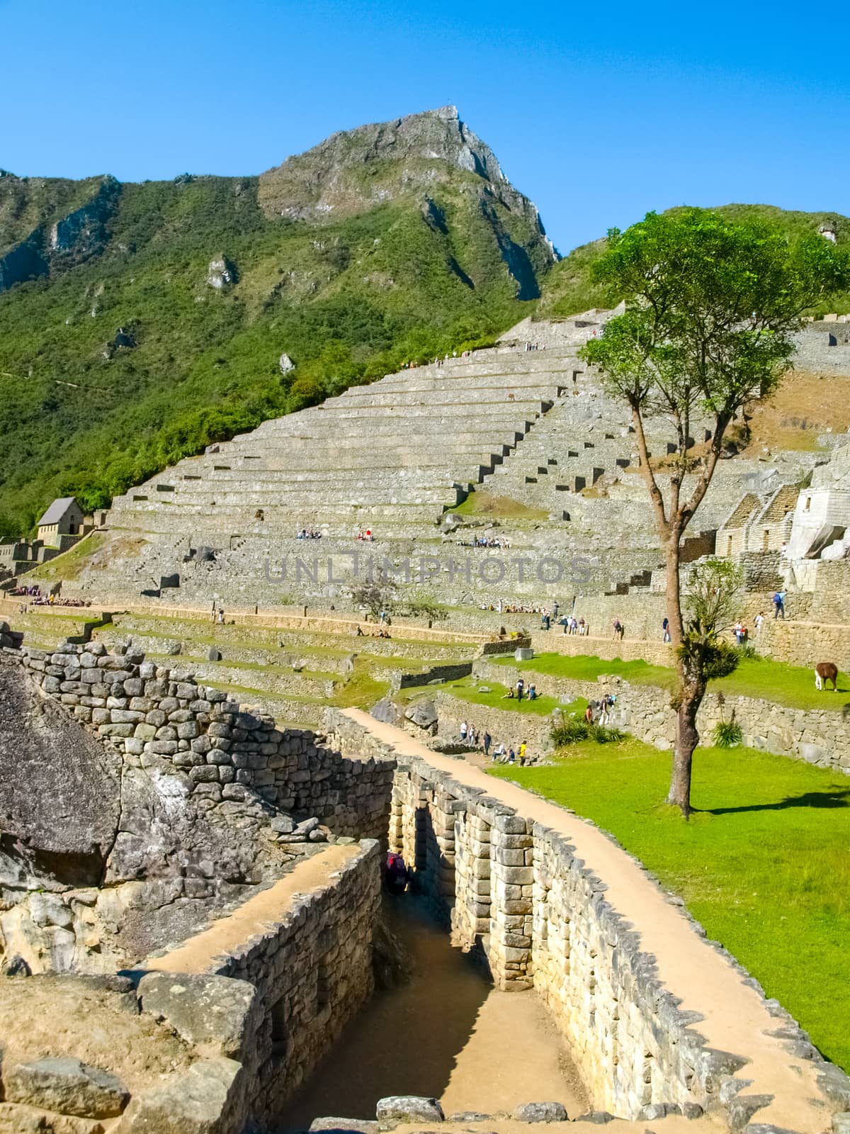 Terraces of Machu Picchu - Incan lost city in Peru, South America.