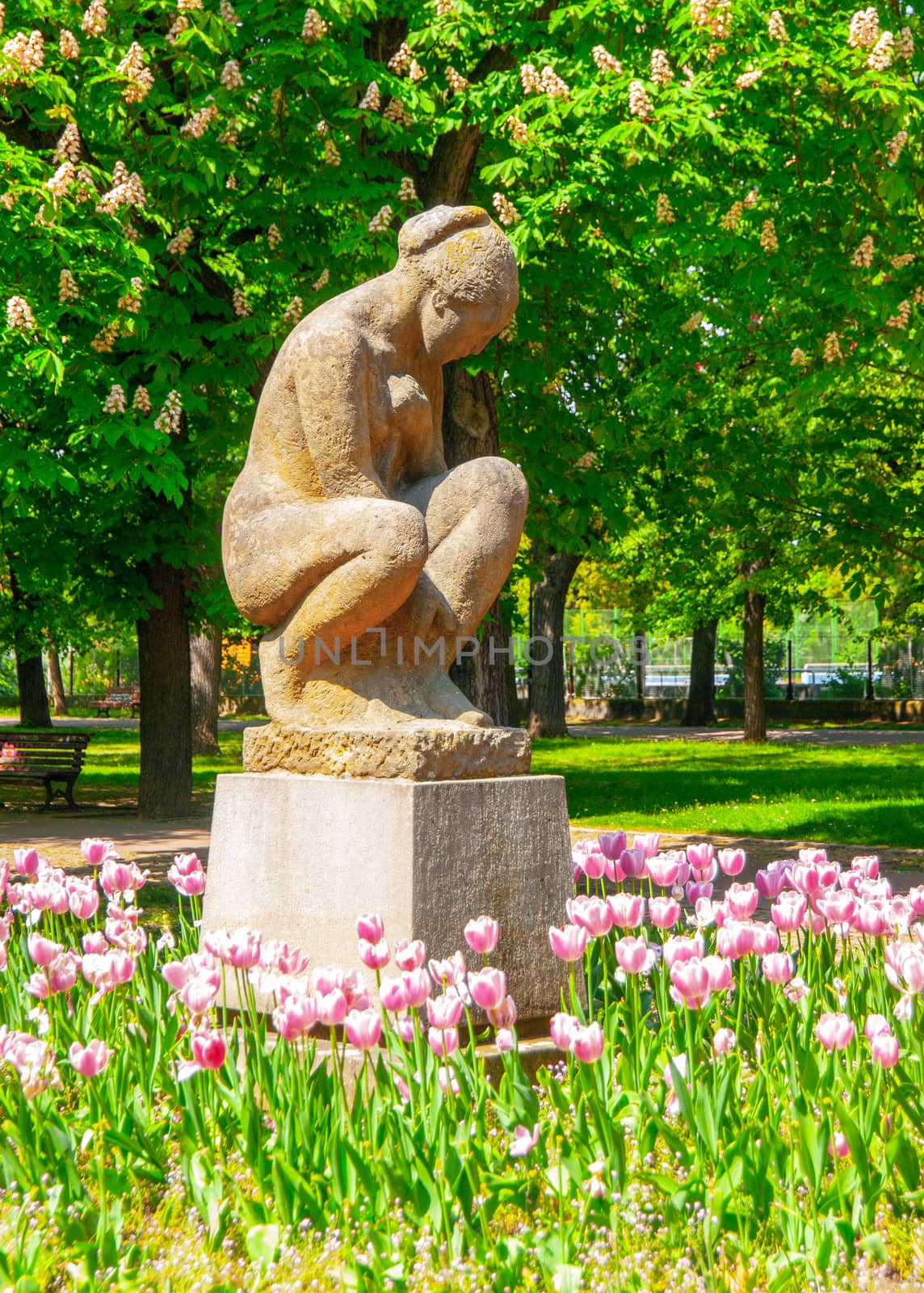 Sculpture of seated woman in Letna Park on sunny summer day with pink tulips, Prague, Czech Republic by pyty