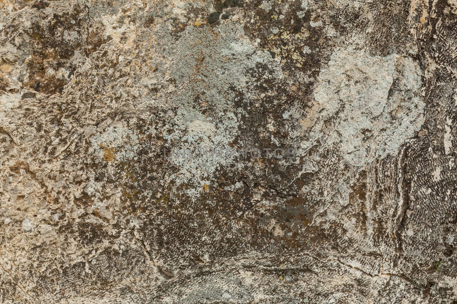 Stone plate background texture by igor_stramyk