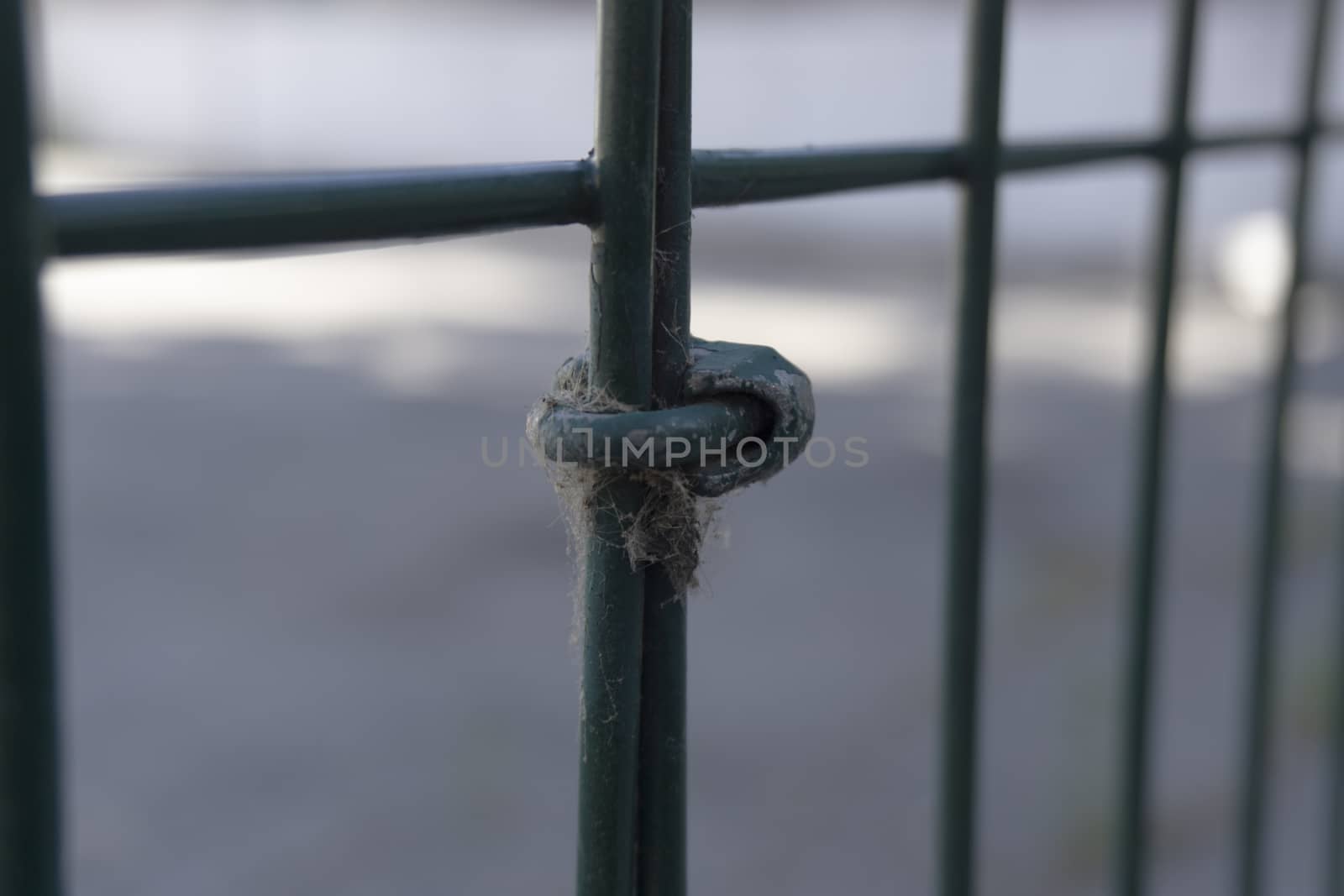 iron gate detail by lovecomunication