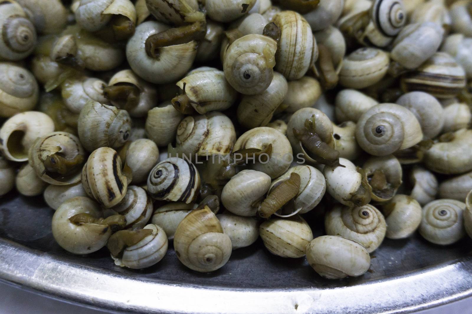 dish of boiled snails with garlic by lovecomunication