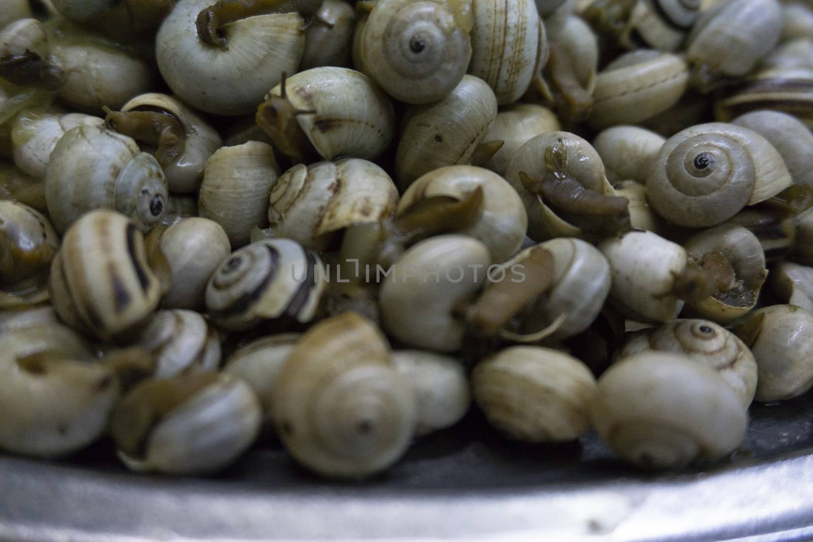 dish of boiled snails with garlic by lovecomunication