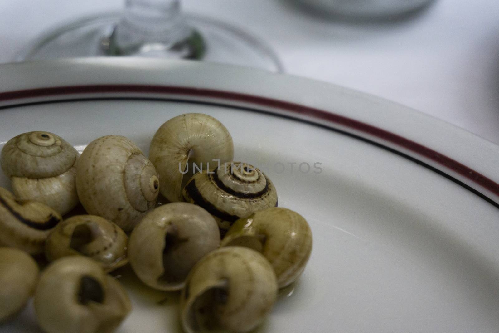 dish of boiled snails with garlic typical Portuguese dish