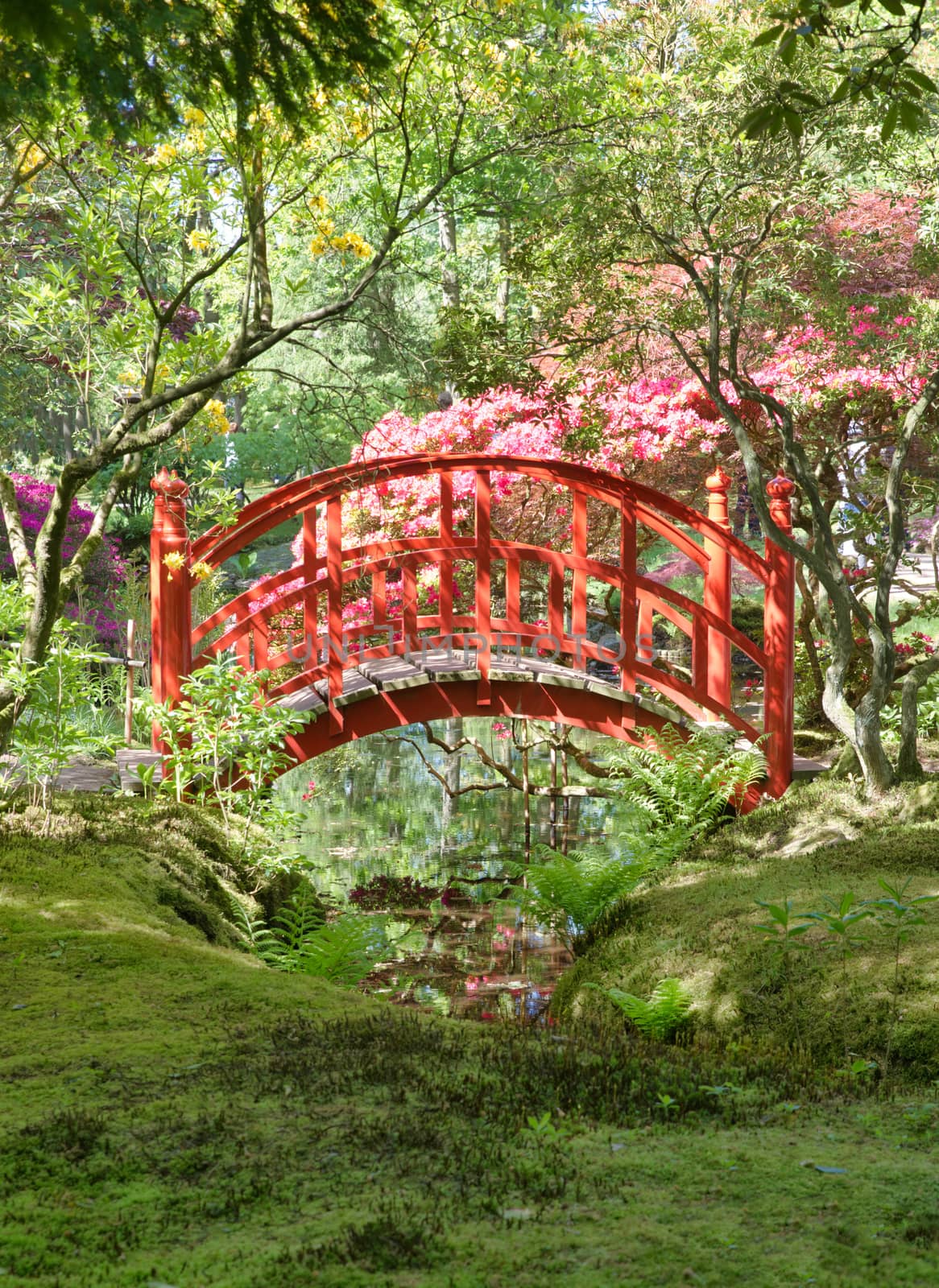 japanese garden with red bridge in the hague Holland in the open for public park called landgoed clingendael