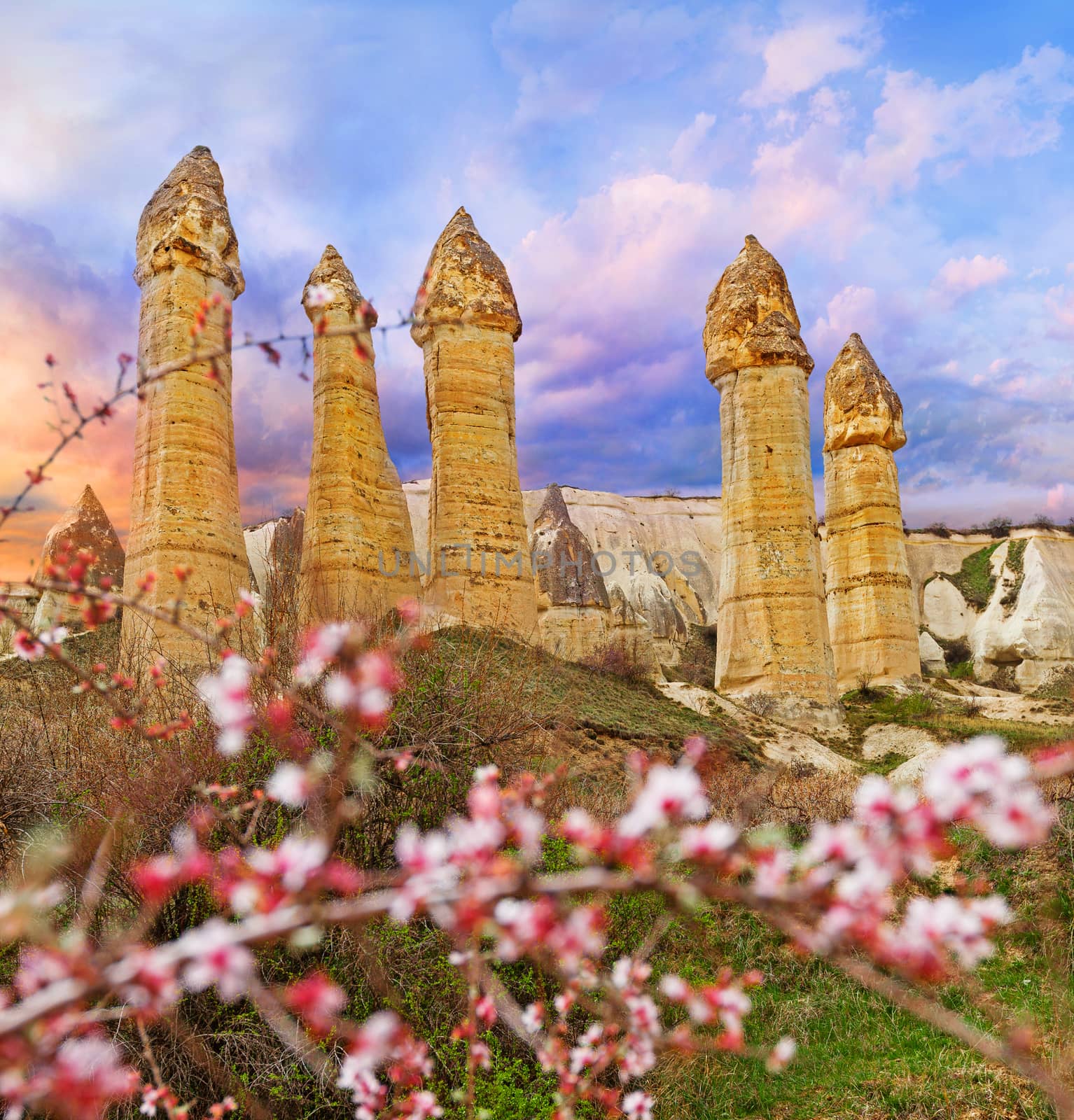 Spring in Love valley near Goreme, Turkey by igor_stramyk
