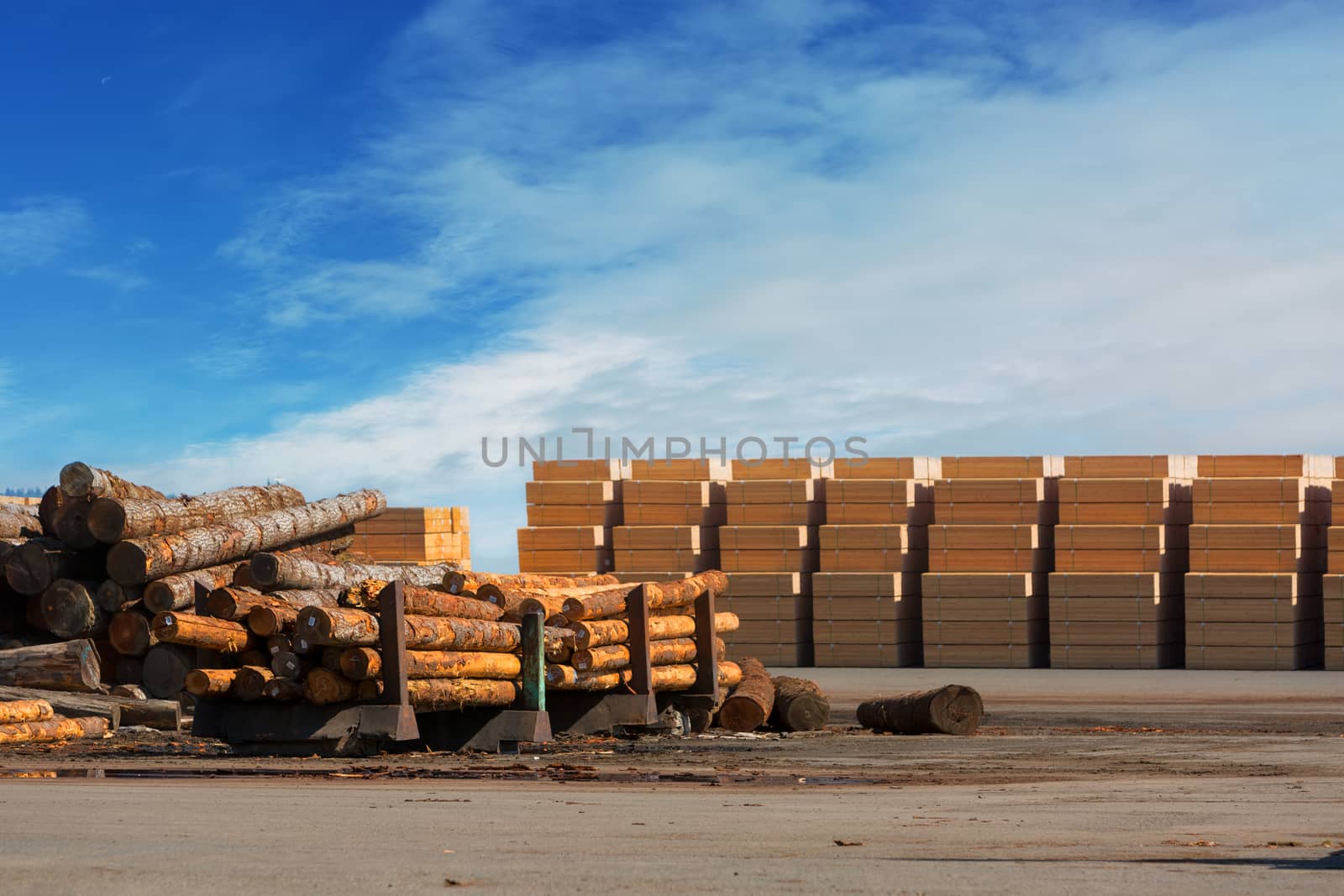 Tree logs and plywood products at Lumber Mill in Rainier Oregon