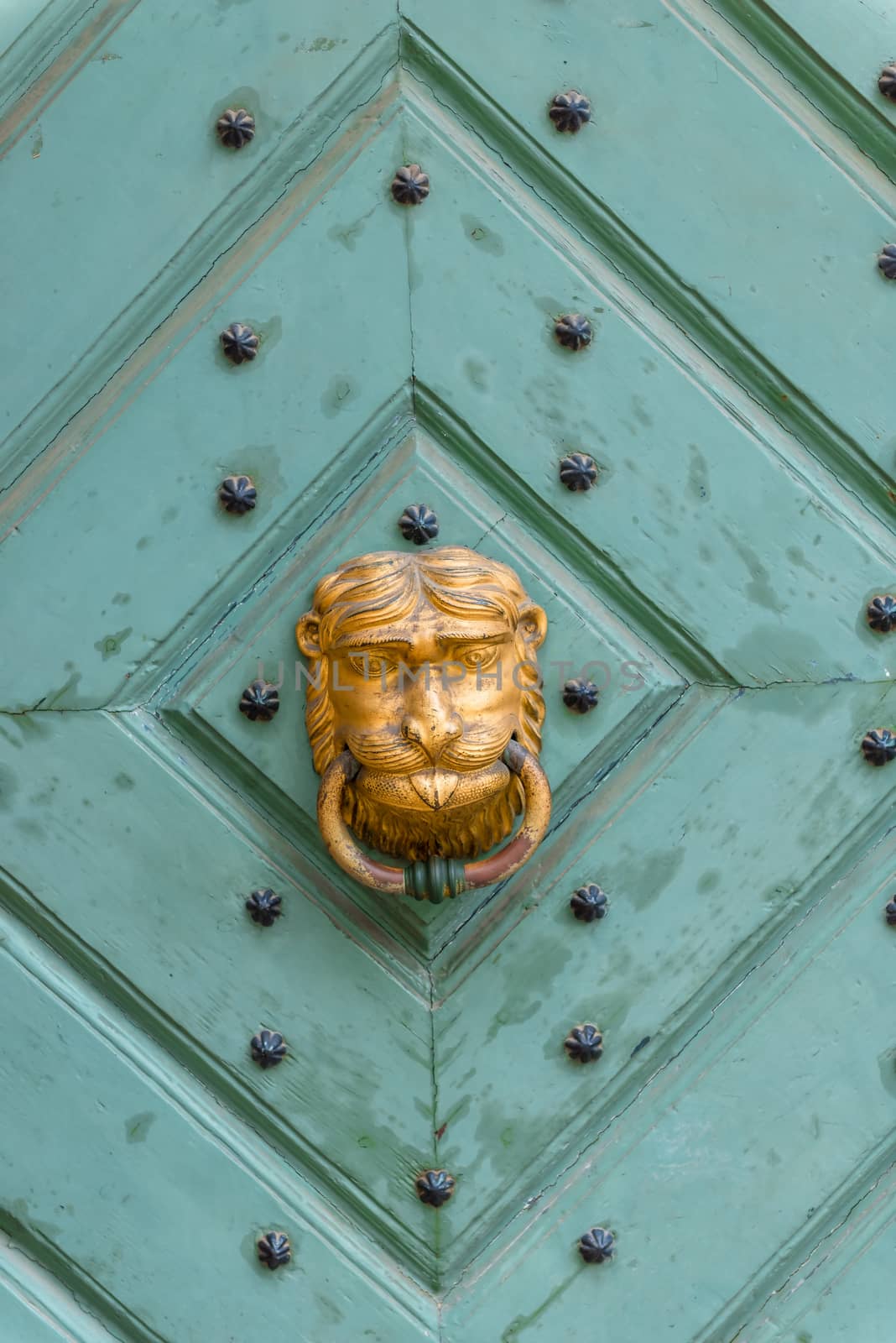old wooden door with a brass handle in the shape of a lion's head close-up
