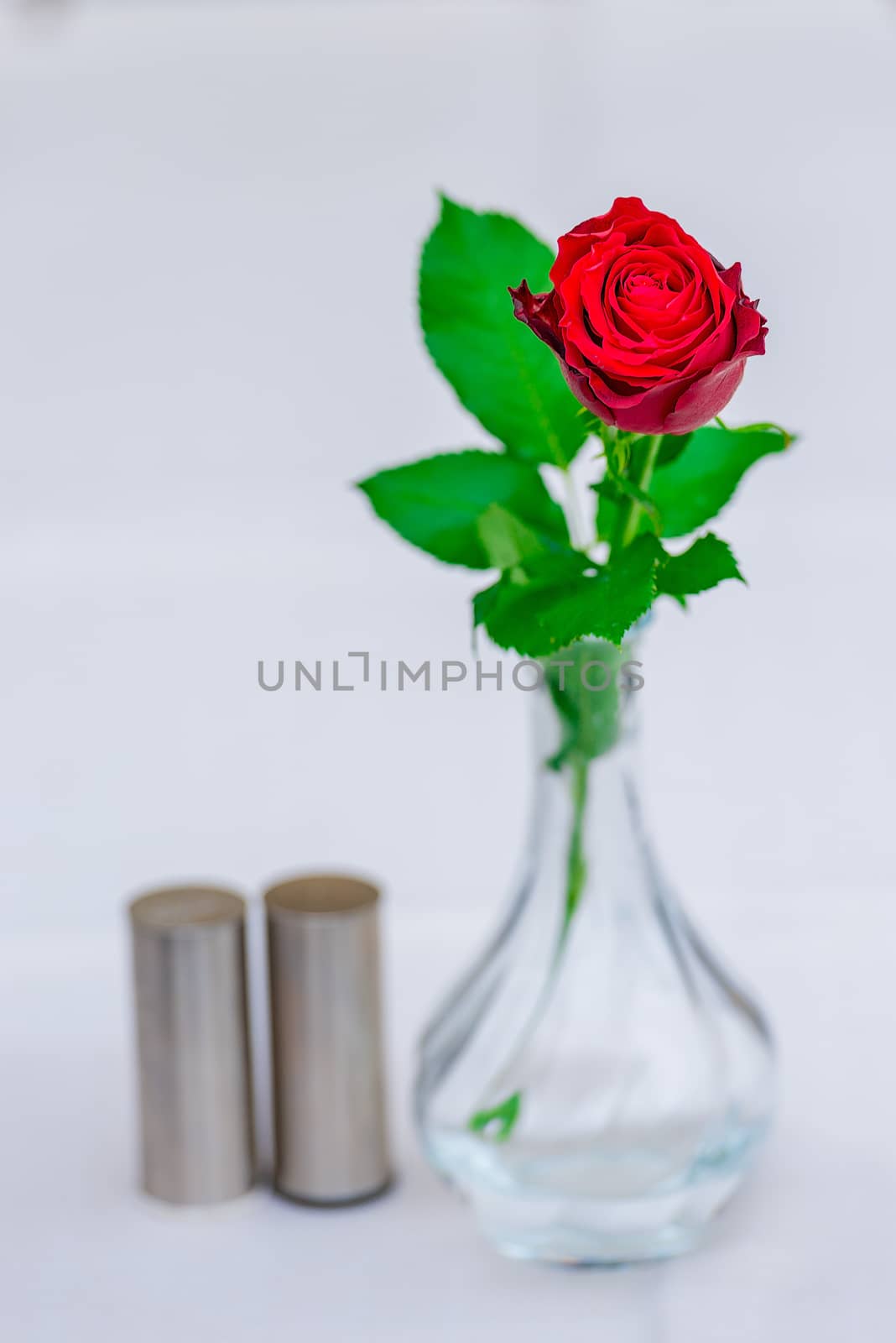 beautiful red rose in a vase on a table in a cafe closeup