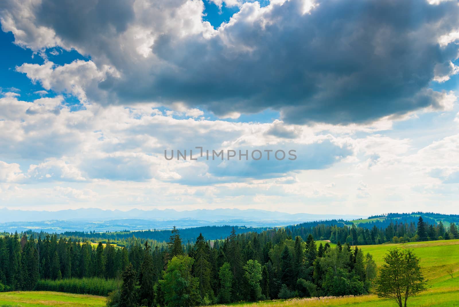 Beautiful clouds over the clearing and forest of Poland, on the horizon of the Tatra Mountains