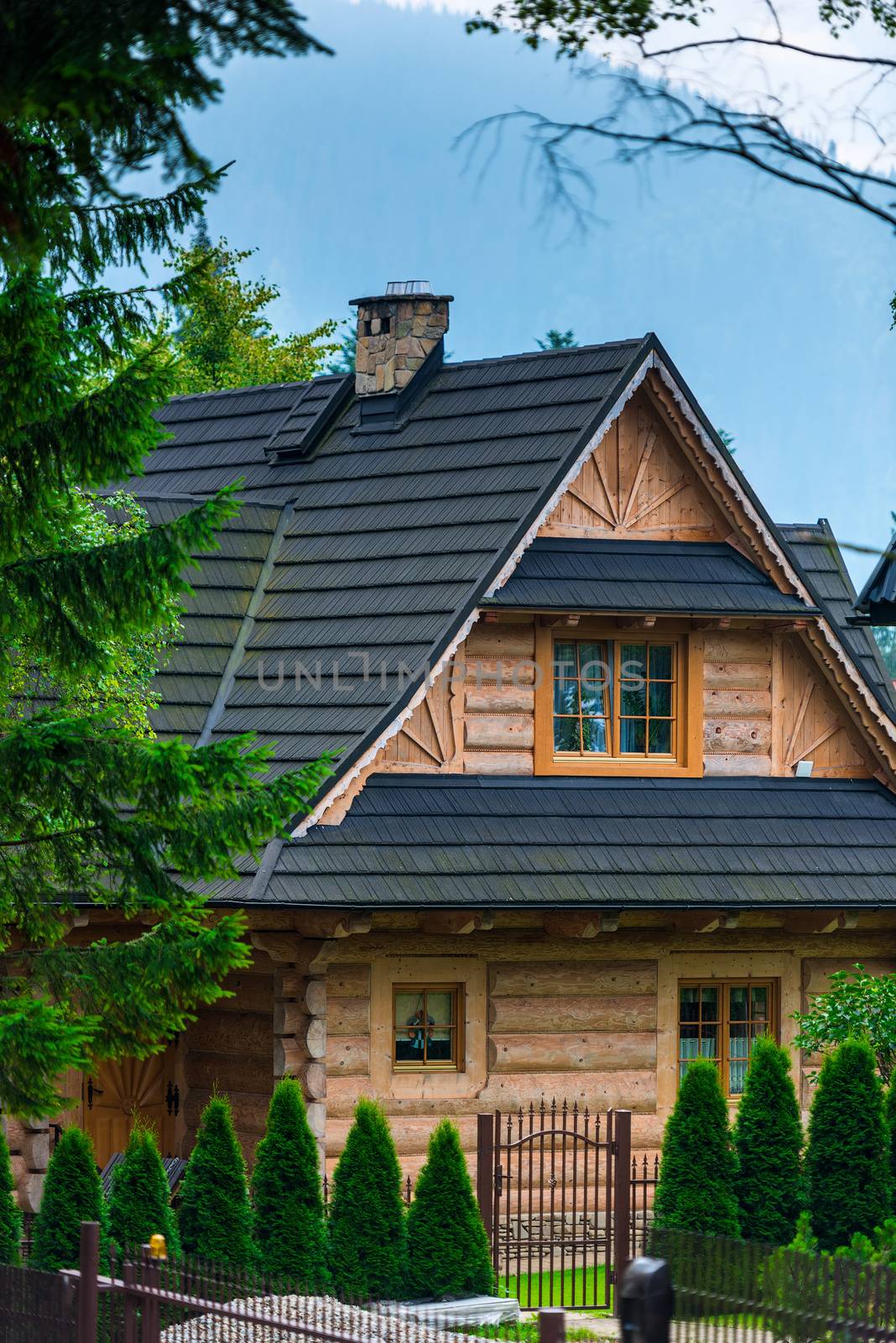 log house with a beautiful courtyard in European style