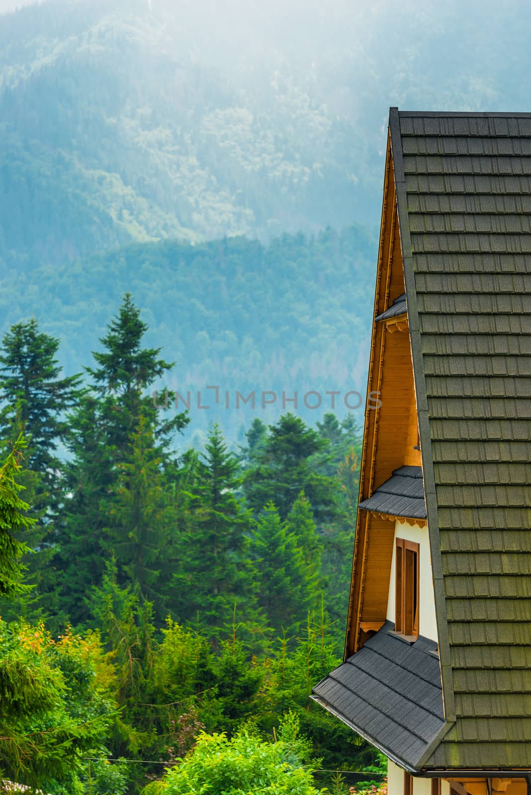 in the foreground in focus is the roof of the house, a view of the mountains and the forest