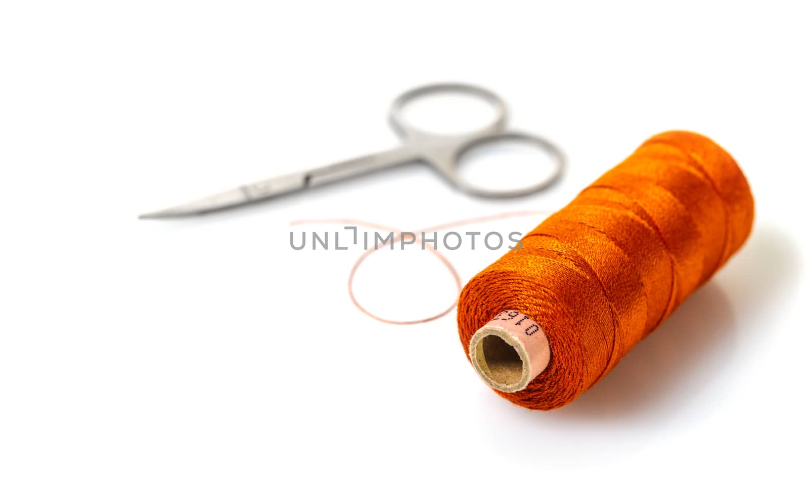 spool of thread and scissors  by MegaArt