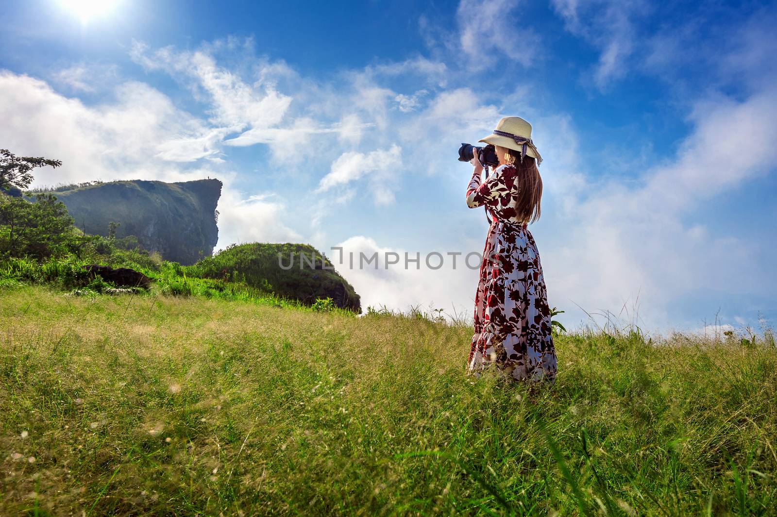 Woman standing on meadow and holding camera take photo at Phu Chi Fa mountains in Chiangrai, Thailand. Travel concept.