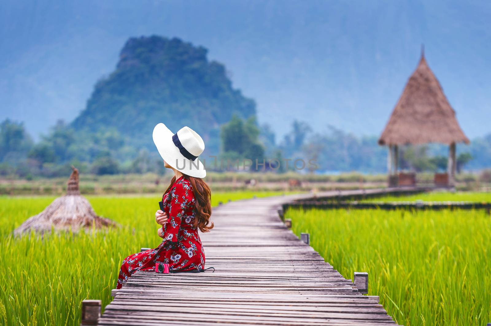 Young woman sitting on wooden path with green rice field in Vang Vieng, Laos. by gutarphotoghaphy