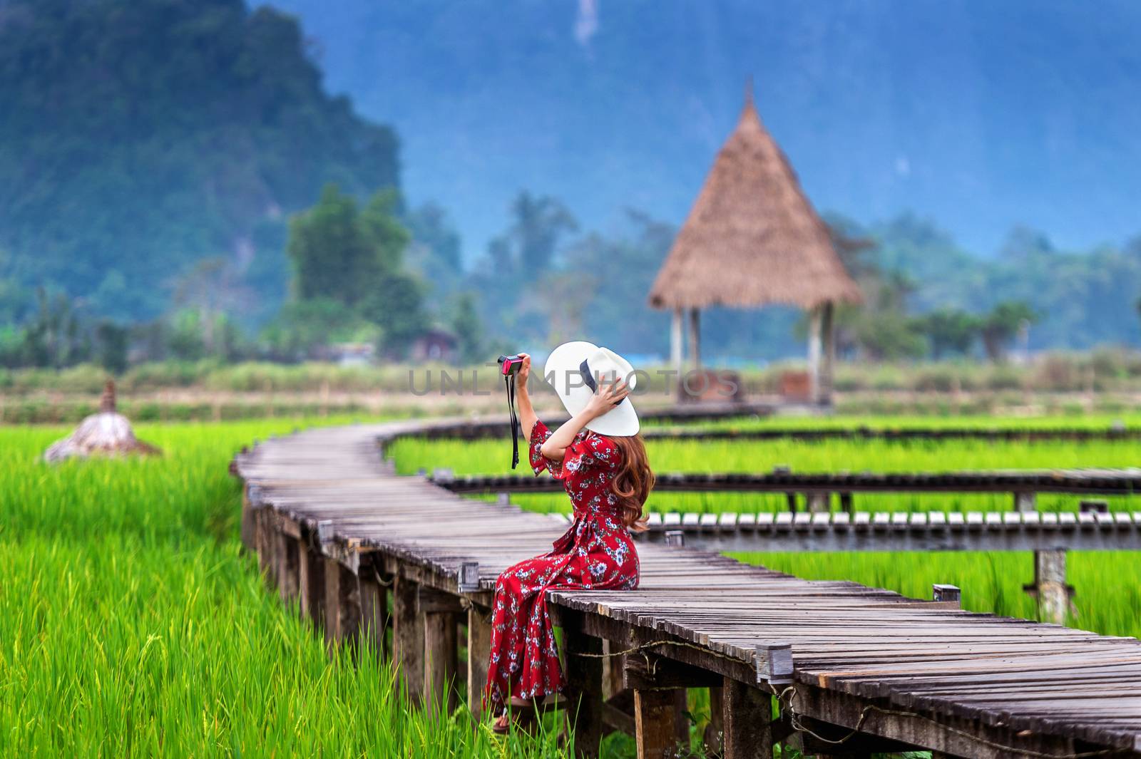Young woman sitting on wooden path and take a photo by camera with green rice field in Vang Vieng, Laos.