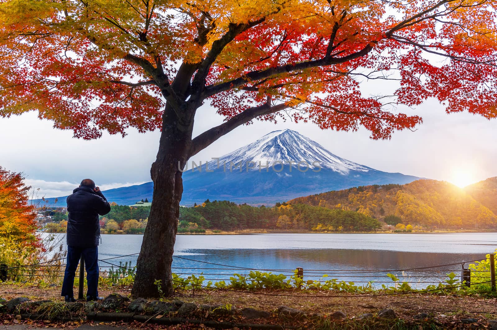 Autumn Season and Fuji mountain at Kawaguchiko lake, Japan. Photographer take a photo at Fuji mt. by gutarphotoghaphy