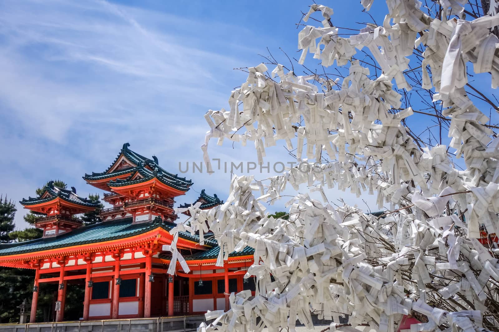 Omikuji tree at Heian Jingu Shrine temple, Kyoto, Japan by daboost