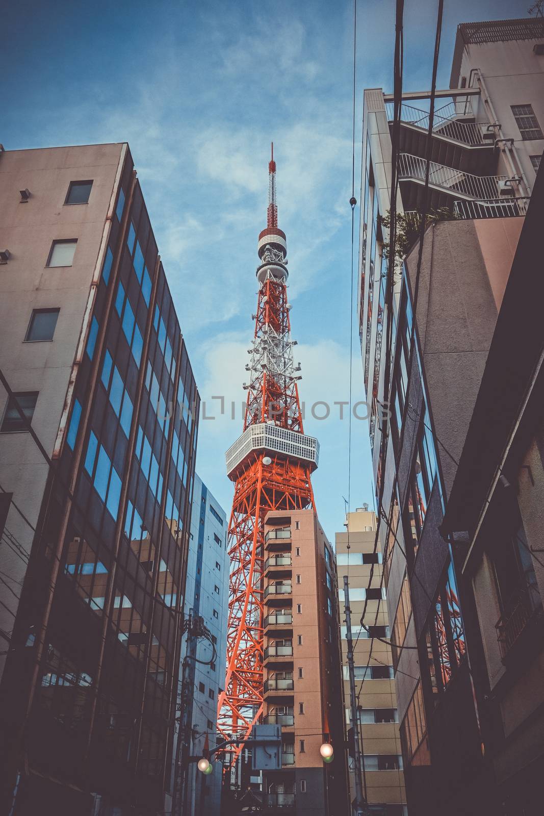 Tokyo tower and buildings view from the street, Japan