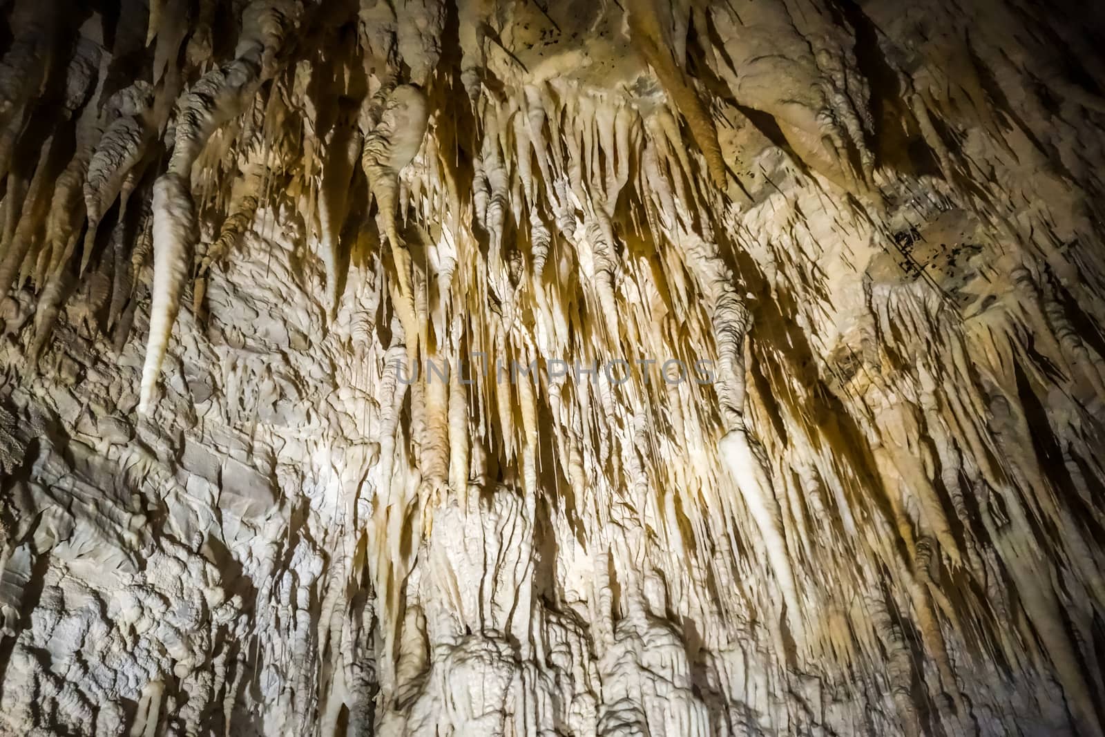 Waitomo glowworm caves, New Zealand by daboost