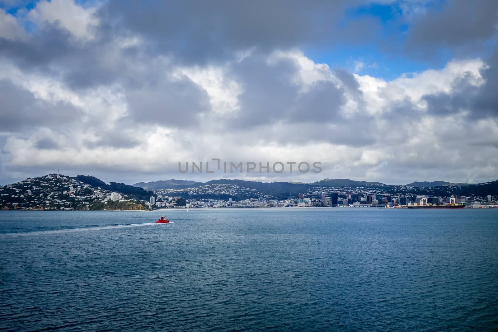 Wellington city view from the sea, New Zealand north Island