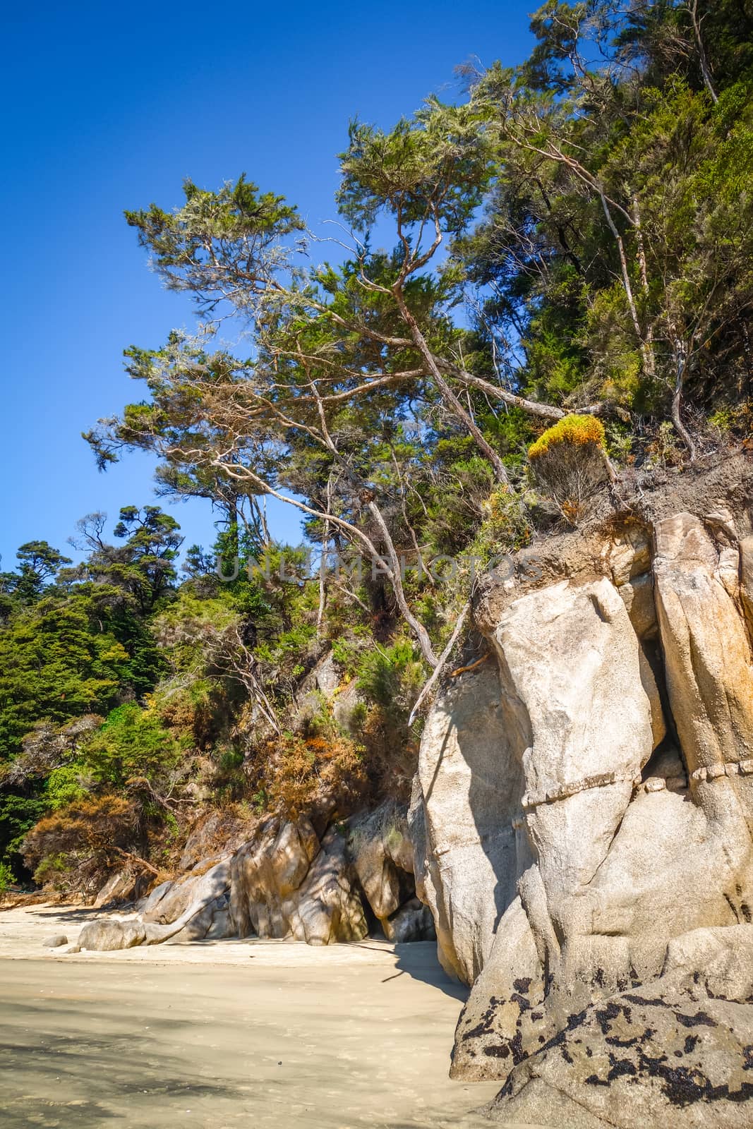 Abel Tasman National Park. Creek and sand beach. New Zealand