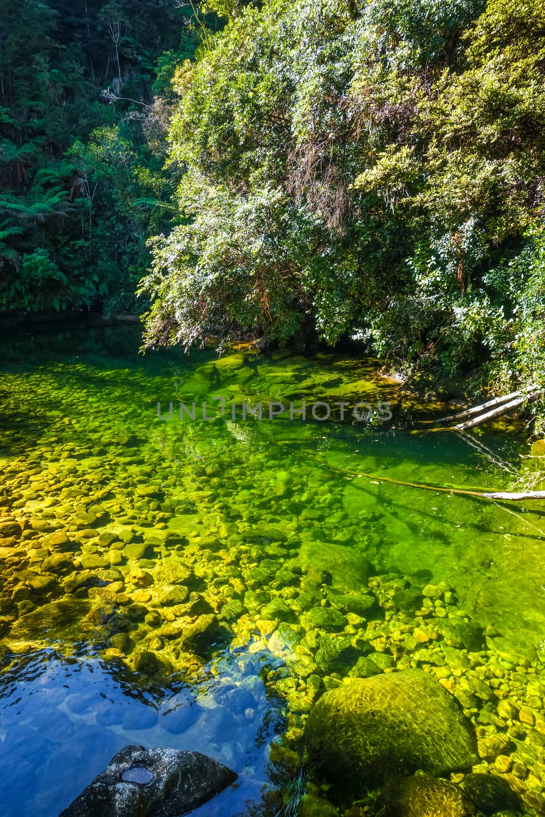 River in Abel Tasman Coast Track. National park. New Zealand