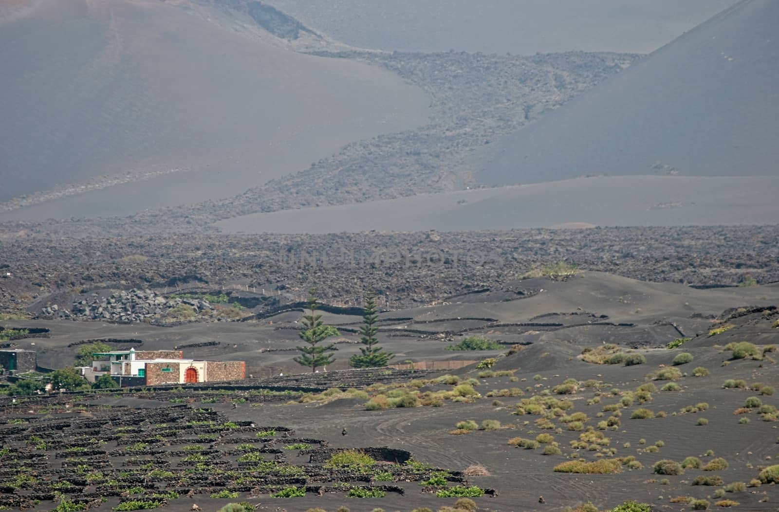 View of a Farm in Lanzarote by phil_bird