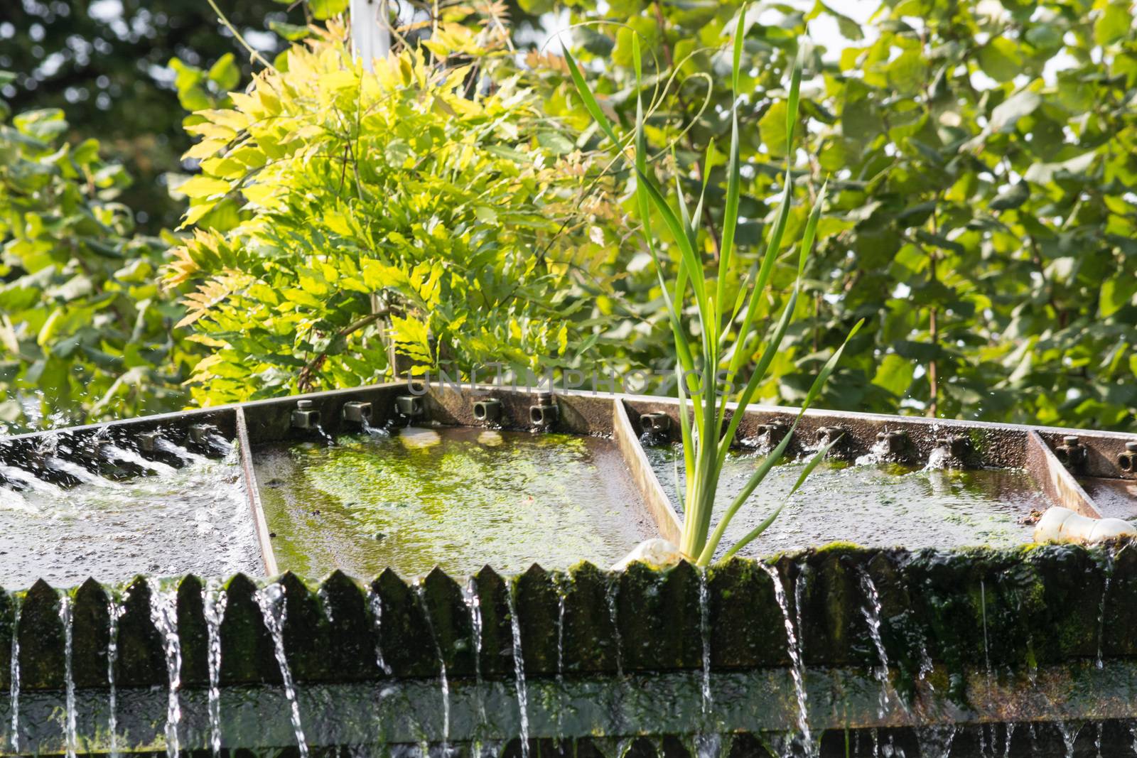 Small weir waterfall in a public park