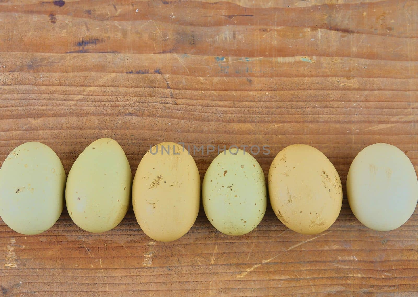 Chicken eggs in row on wooden rustic table. Top view and flat lay by roman_nerud