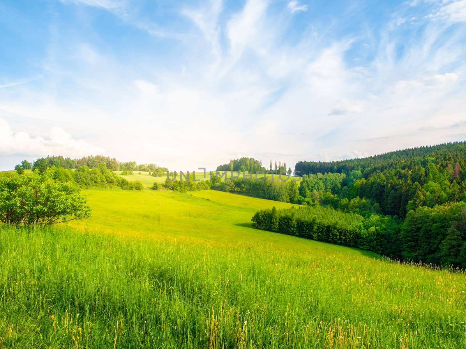 Summer landscape with lush green meadows, forest, blue sky, white clouds and bright shining sun, Czech Republic by pyty