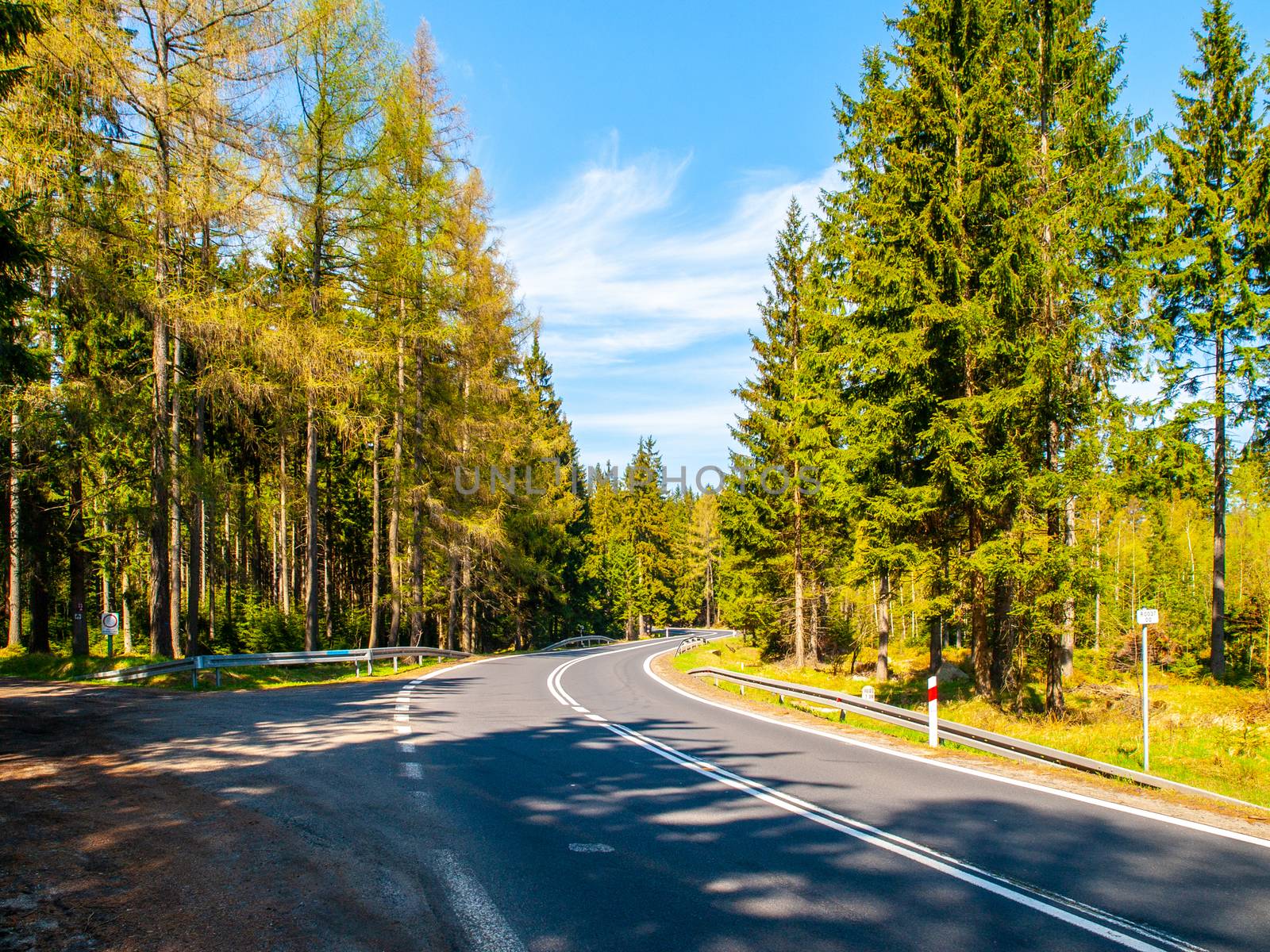 Asphalt road in the green coniferous forest on sunny summer day by pyty