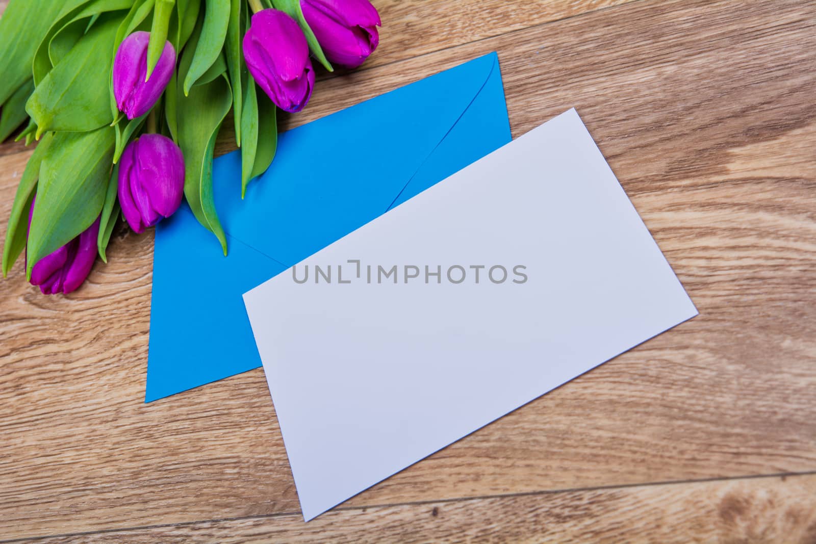 Blue envelope with tulips on a table by neryx