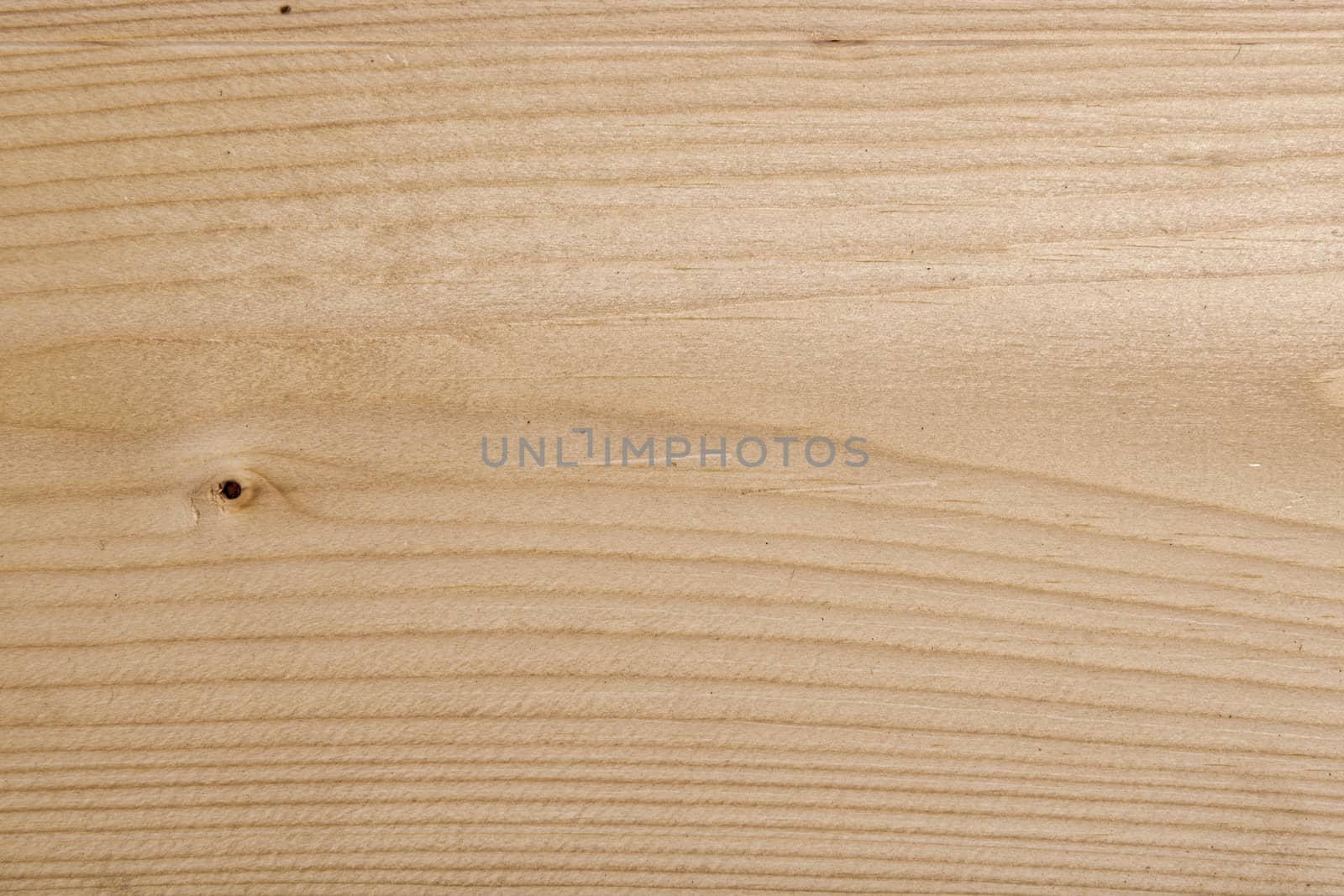 Wood texture with natural pattern. A fragment of a wooden panel