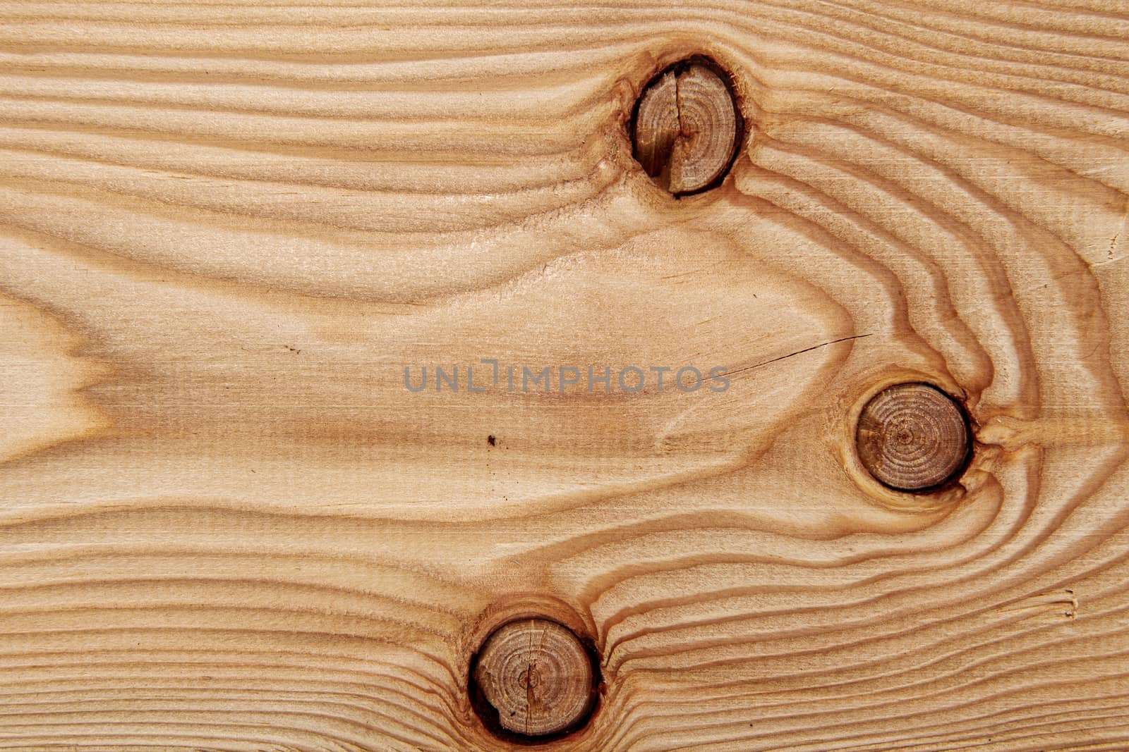 Wood texture with natural pattern. A fragment of a wooden panel