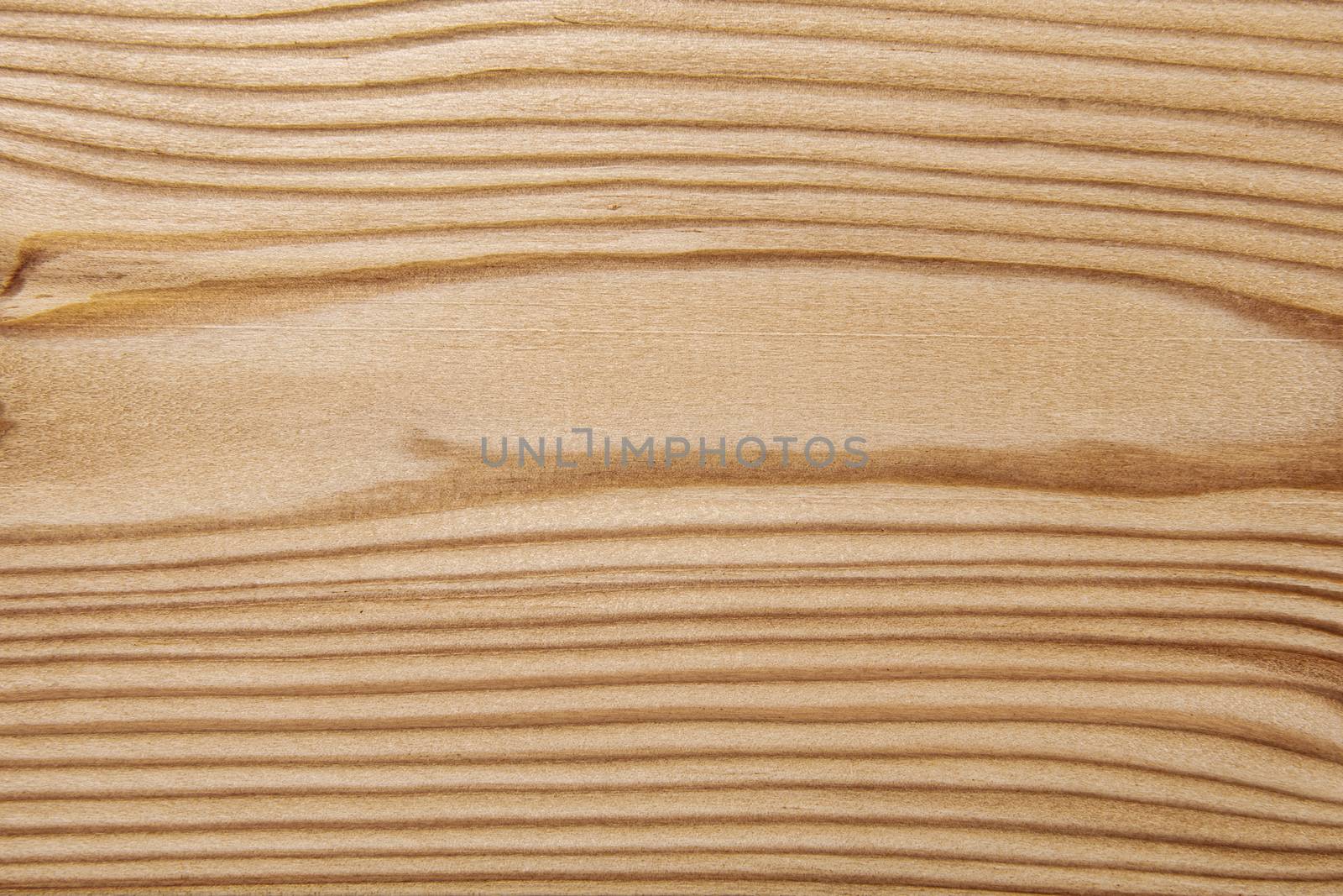 Wood texture with natural pattern. A fragment of a wooden panel