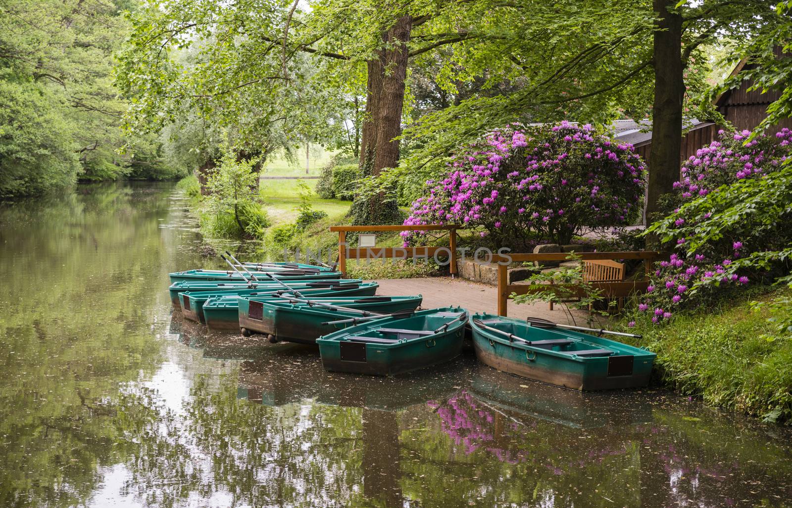 green boats and flowering rhododendrons at the river by compuinfoto