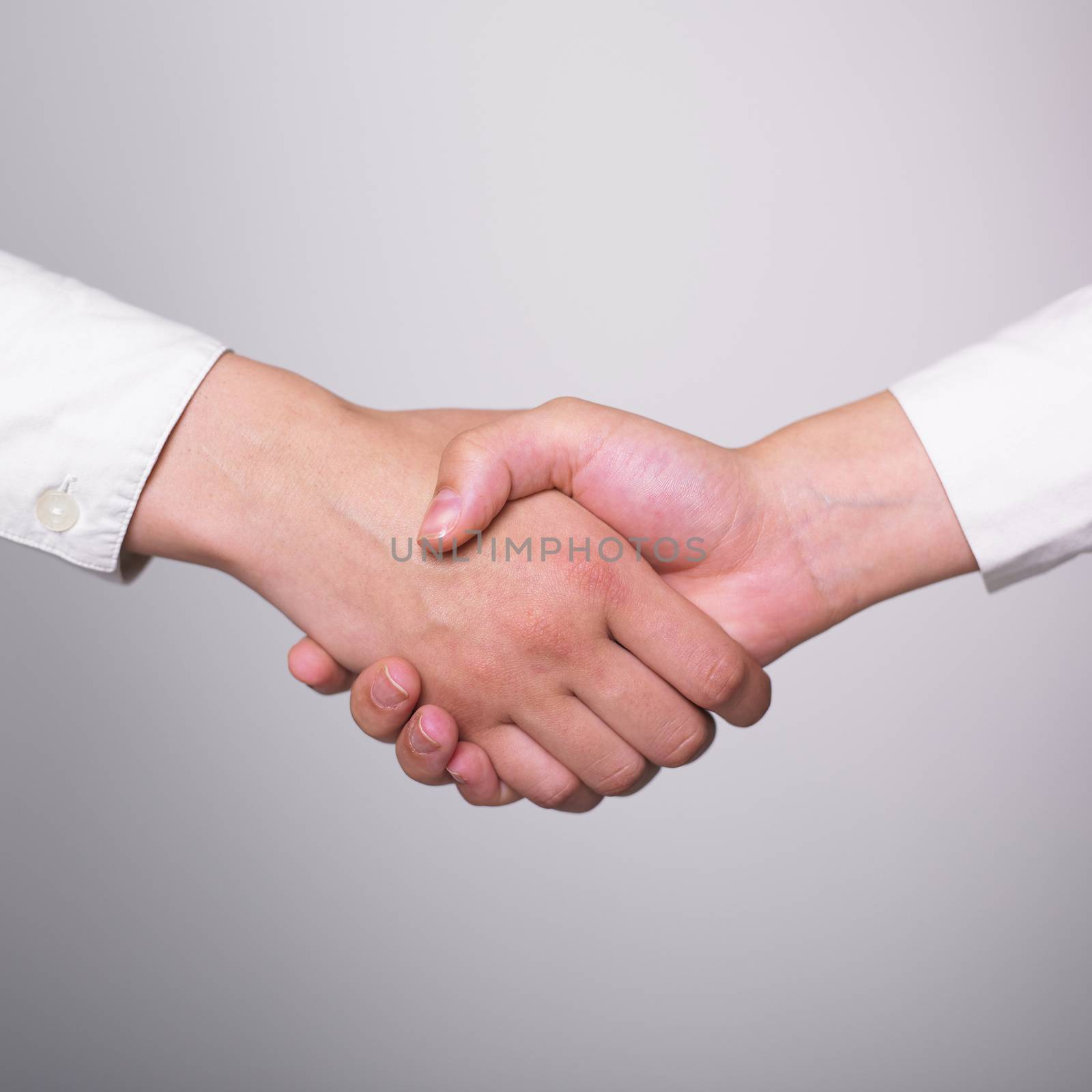 Two hands in Handshake - Business Handshaking