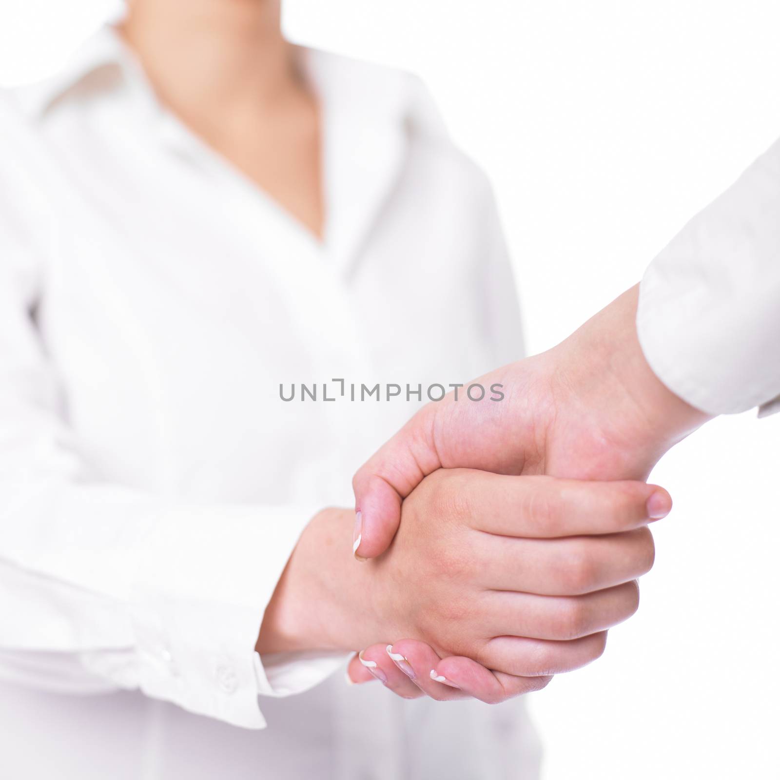 Two hands in Handshake - Business Handshaking