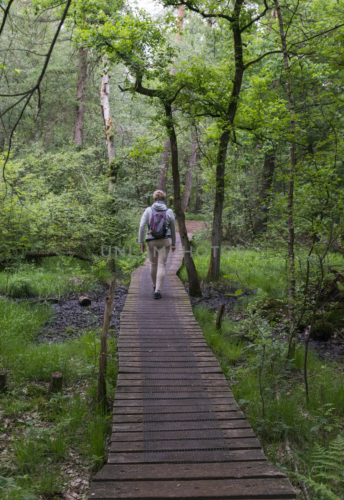 Alstatte,Germany,16-may-2018:Woman walking in the forest of alstatte, alstatte is a nature area on the border of holland and germany with a big forest and hiking tracks
