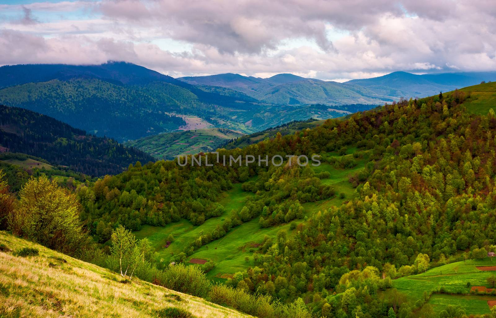 beautiful rolling hills of Carpathian mountains by Pellinni