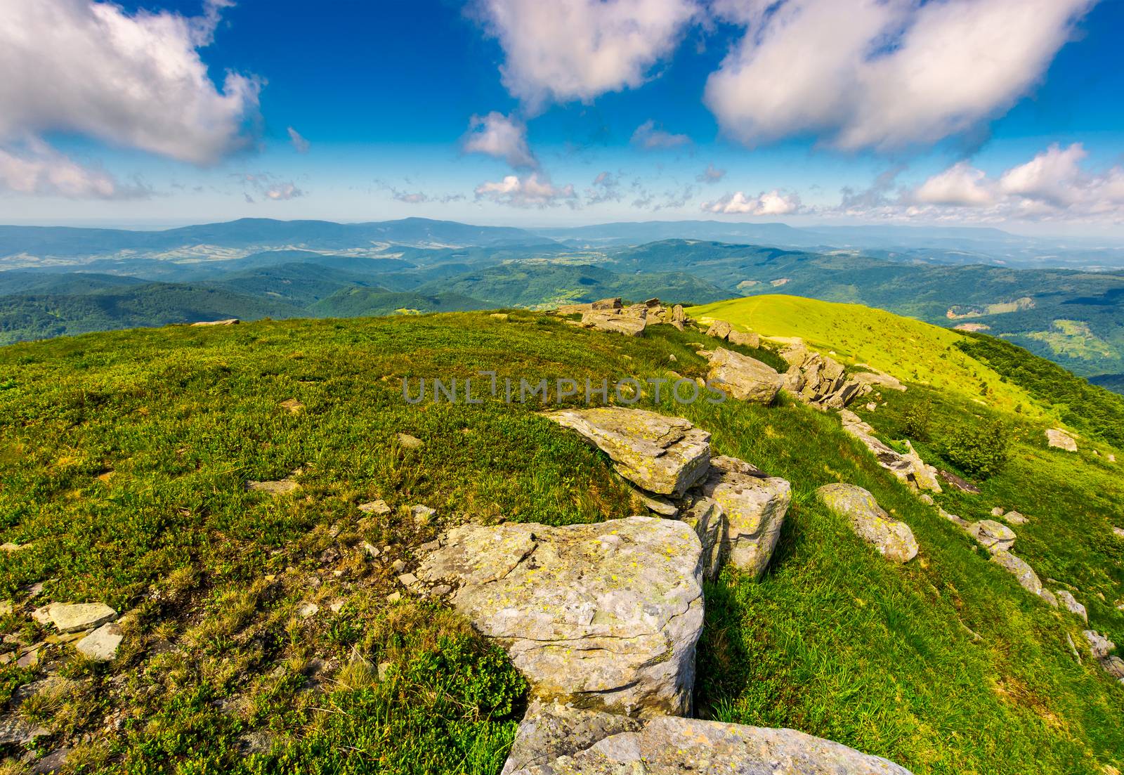 mountainous landscape in summer by Pellinni