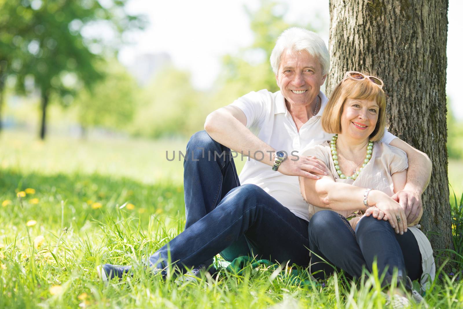 Happy senior couple sitting on grass under a tree in park at sunny summer day