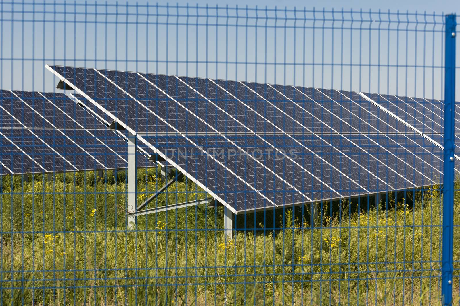 Solar panel outside on grass photovoltaic by adamr