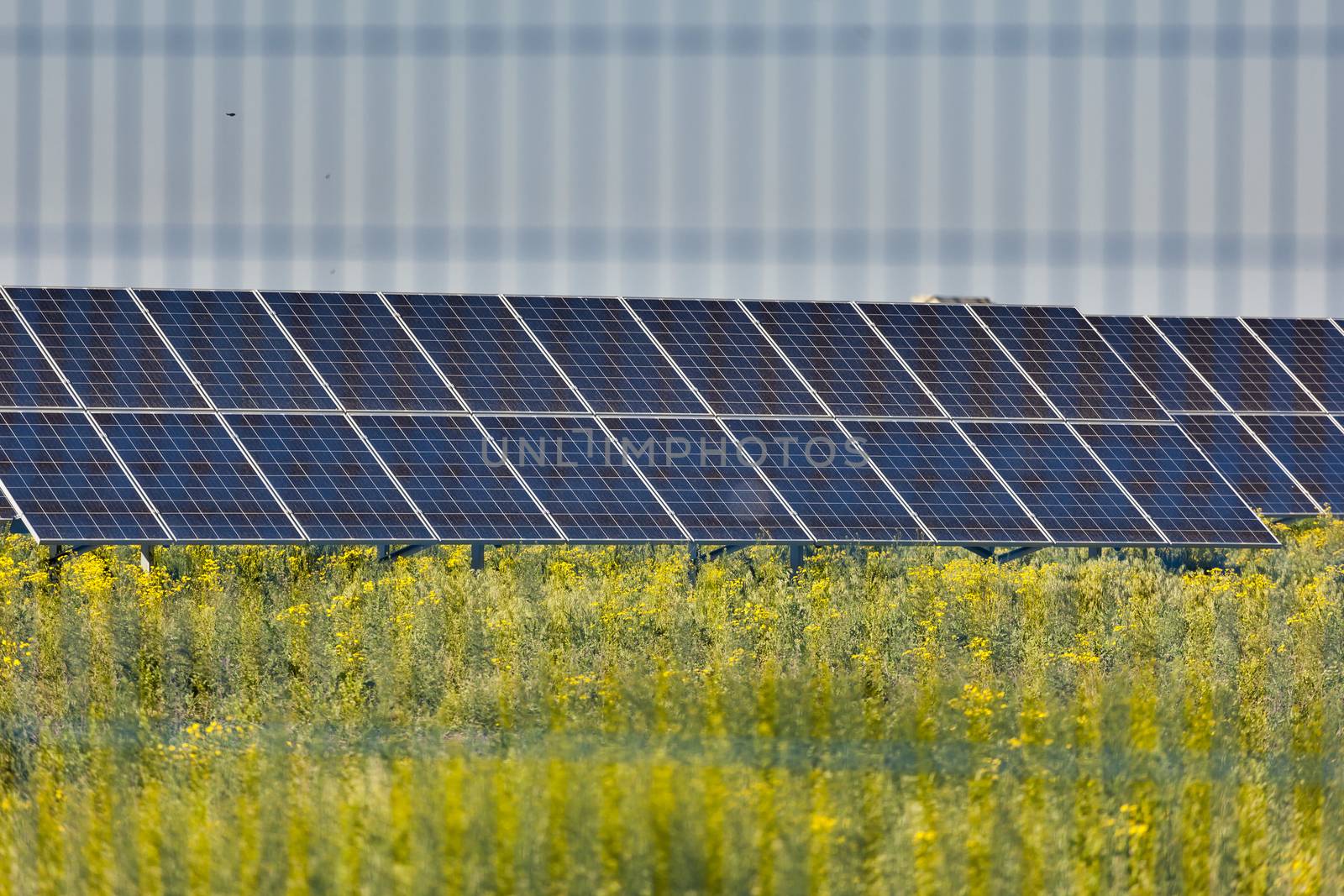 Grin clean electric power - Solar panel outside on grass photovoltaic