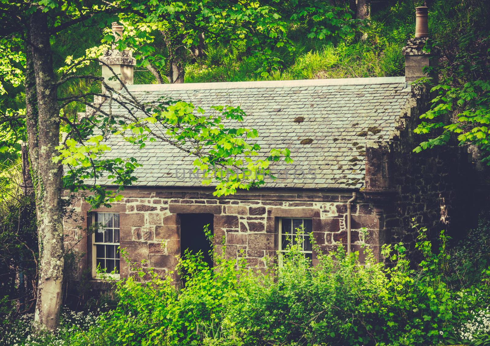A Small Ancient Cottage Or House Hidden In The Woods