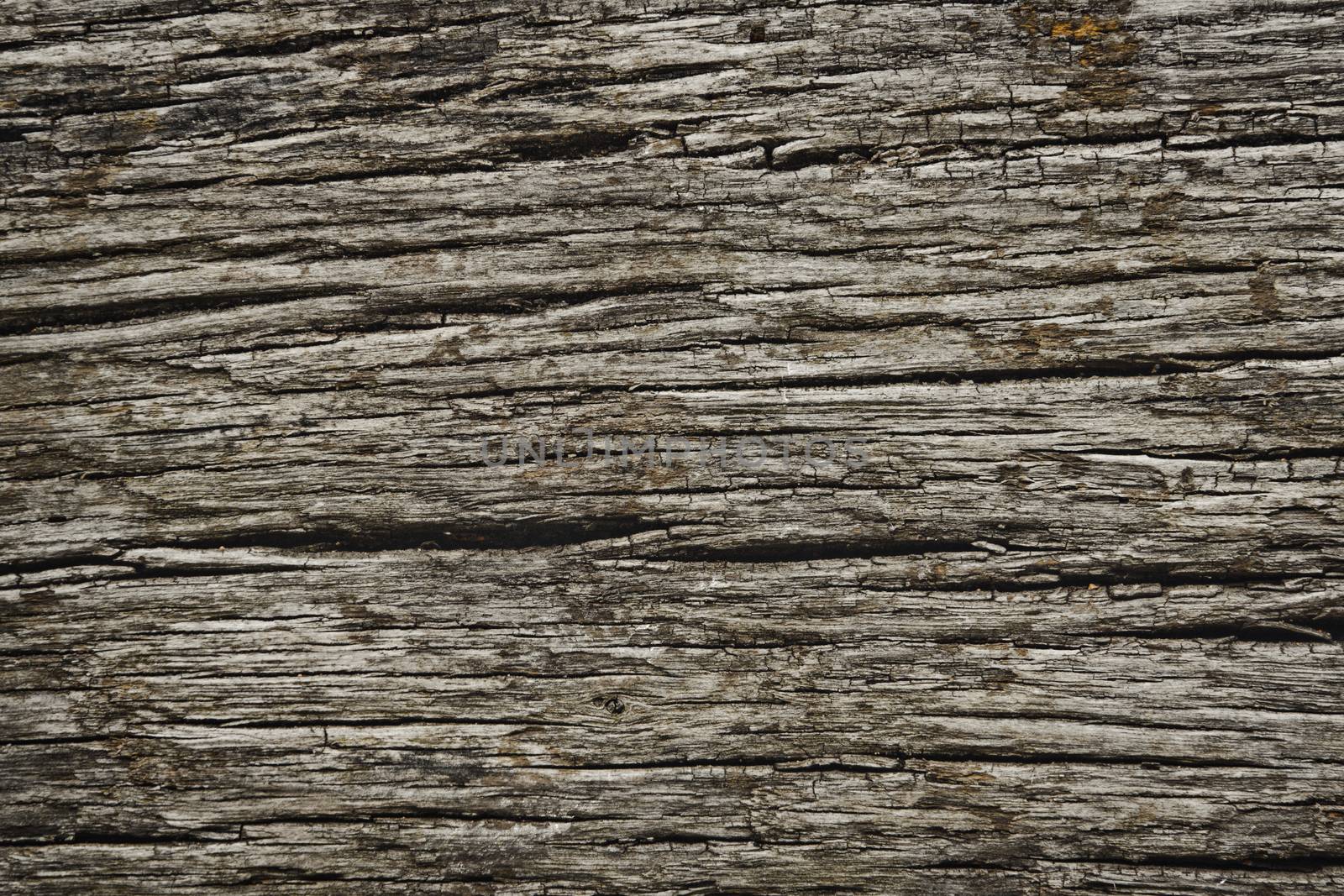 Abstract Background Texture Of Old Rough Dark Wood