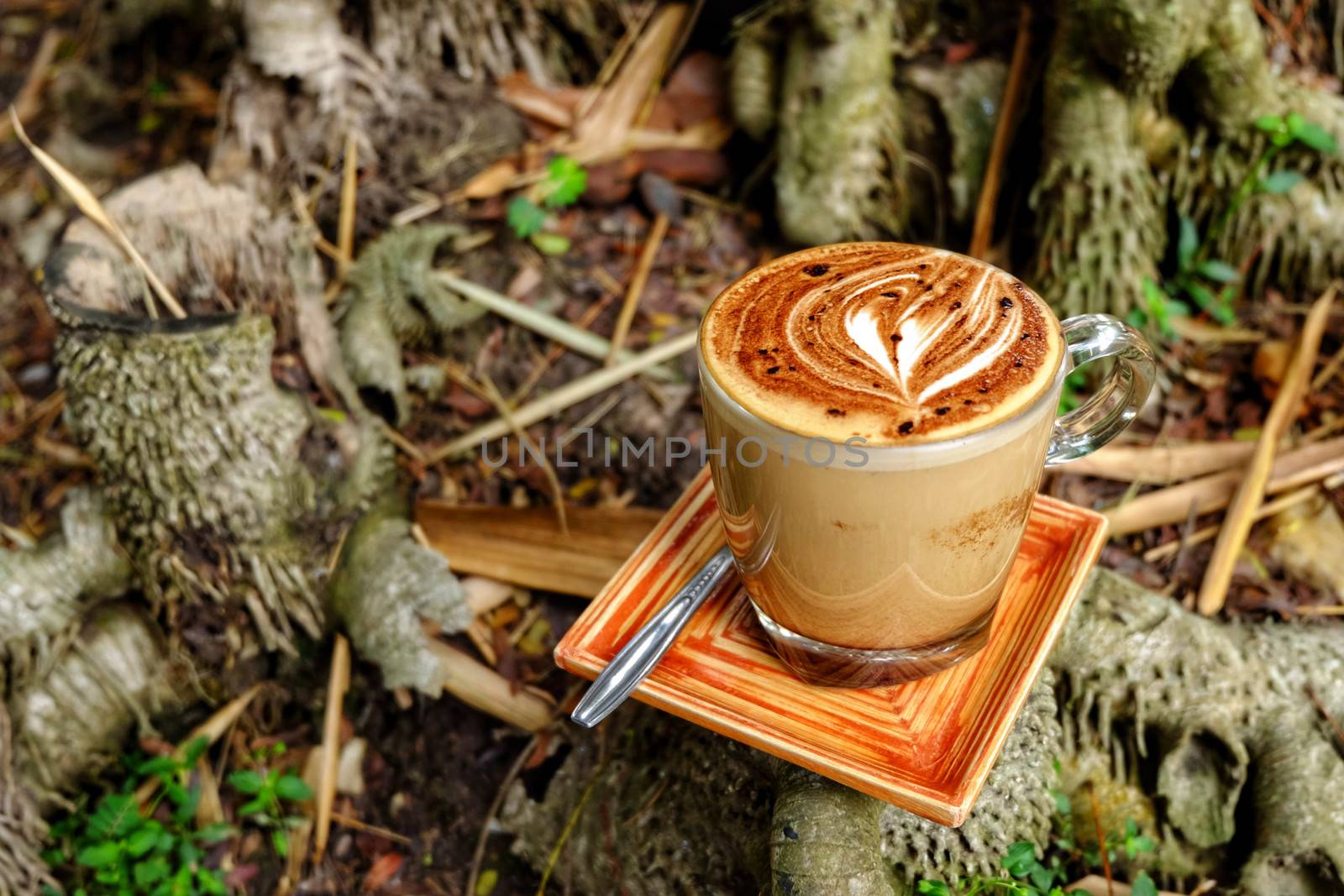 Mocha coffee mug. Mocha coffee cup put on Bamboo stump.