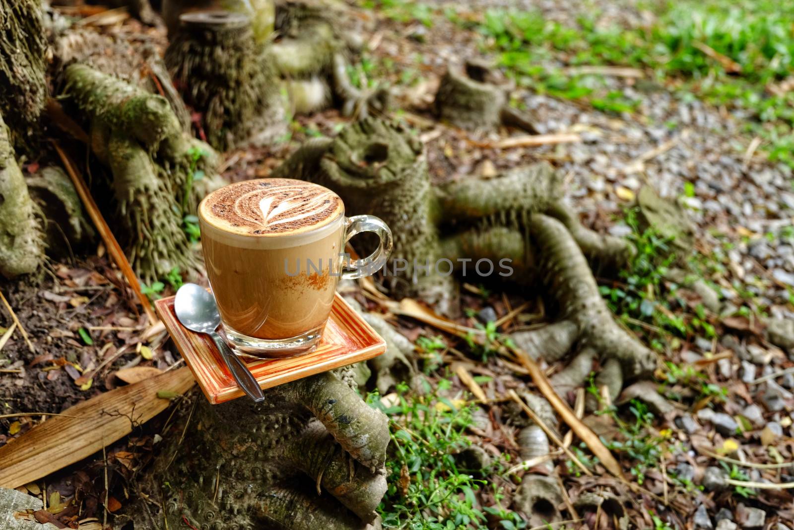 Mocha coffee mug. Mocha coffee cup put on Bamboo stump.