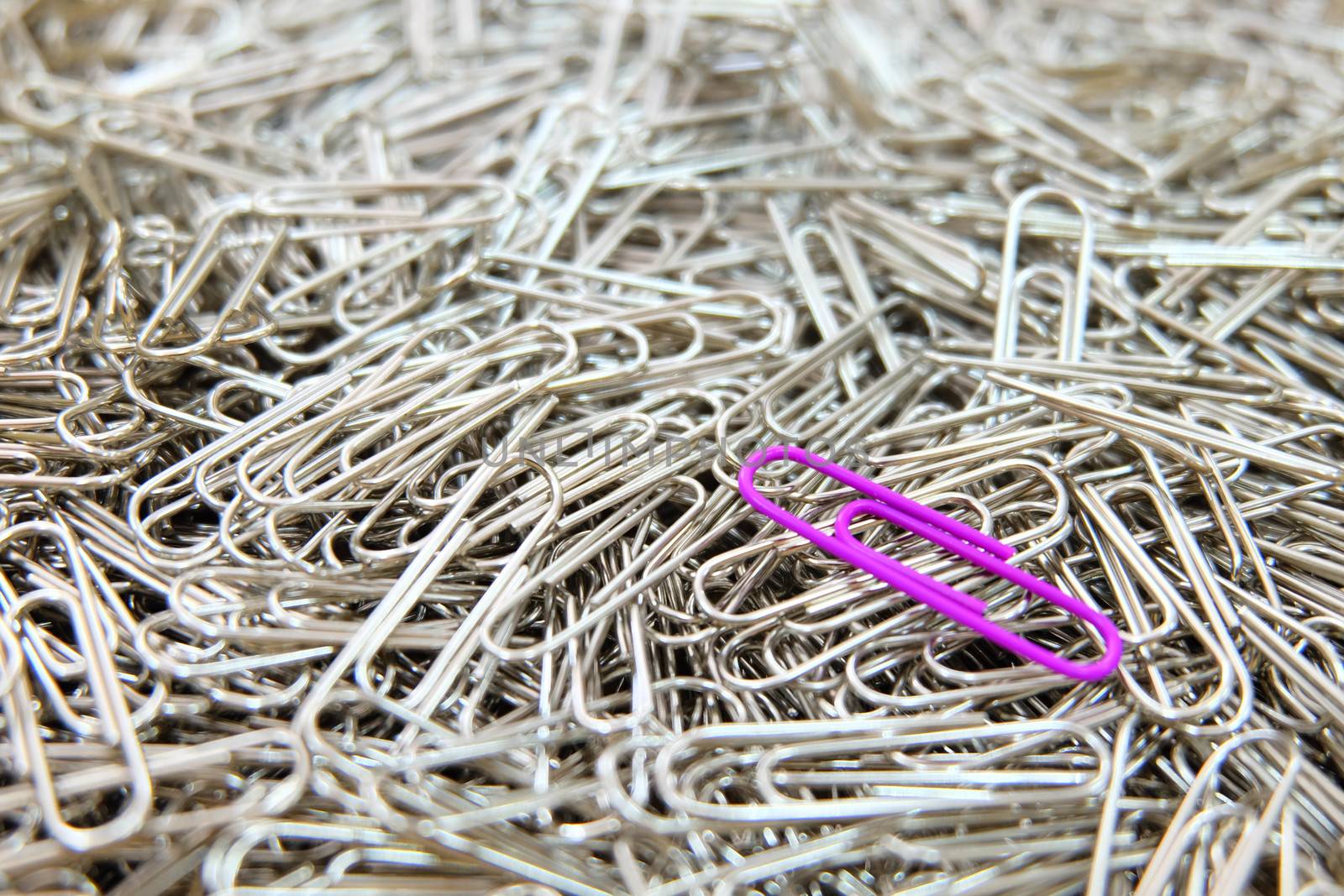 purple paper clip on paper clips background. by e22xua